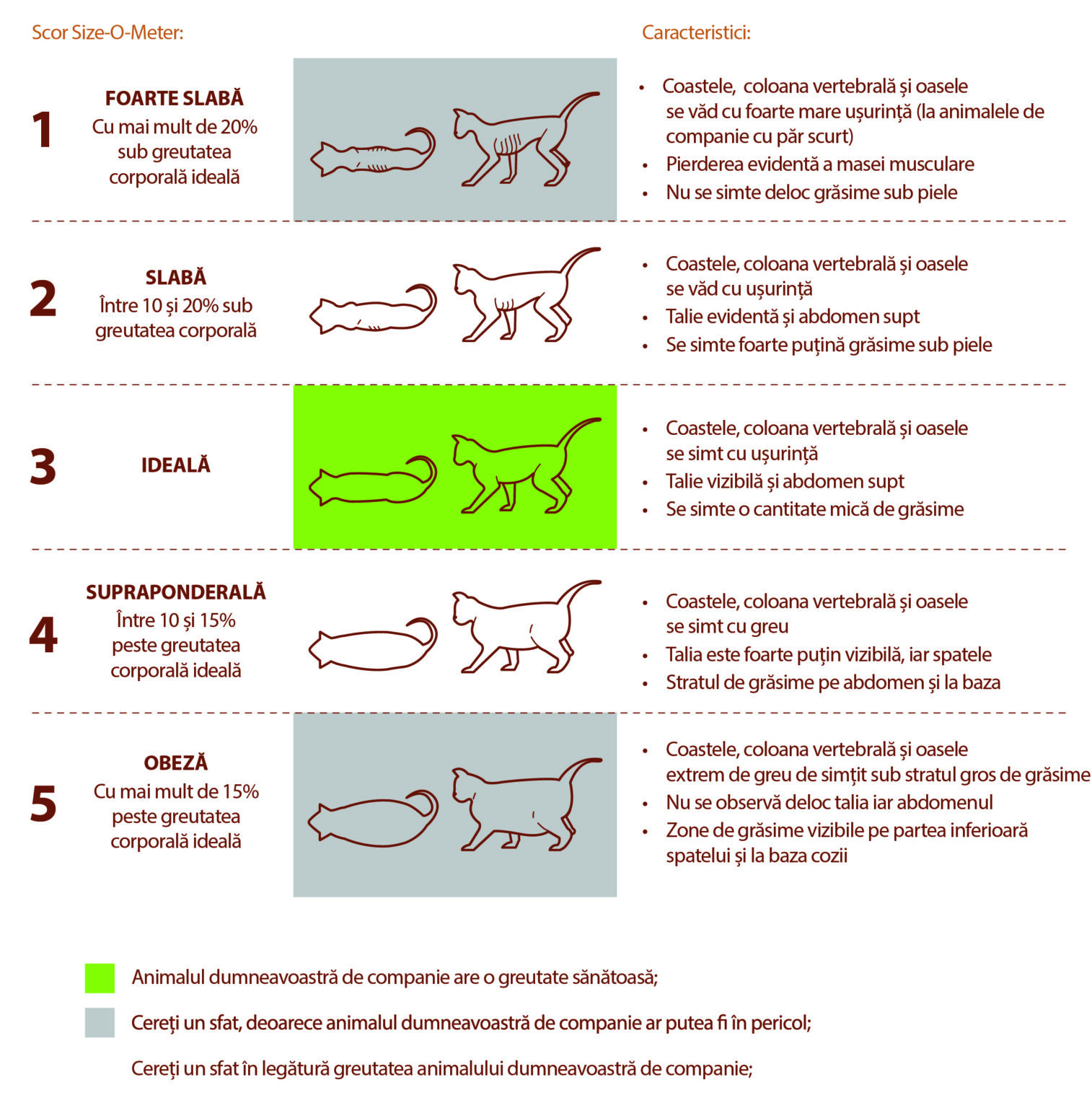 Grafic de evaluare - tabel greutate pisici - arpac.ro